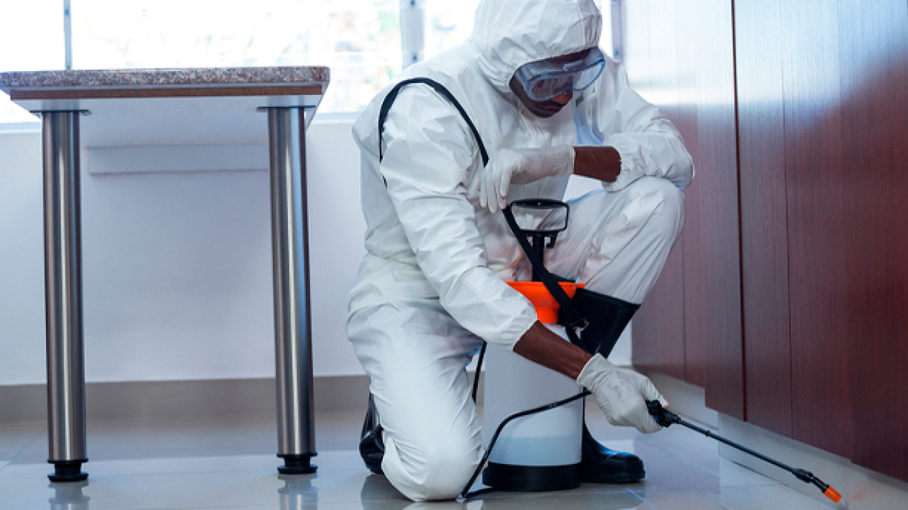 Desinfecção de Ambientes para a Saúde e Segurança